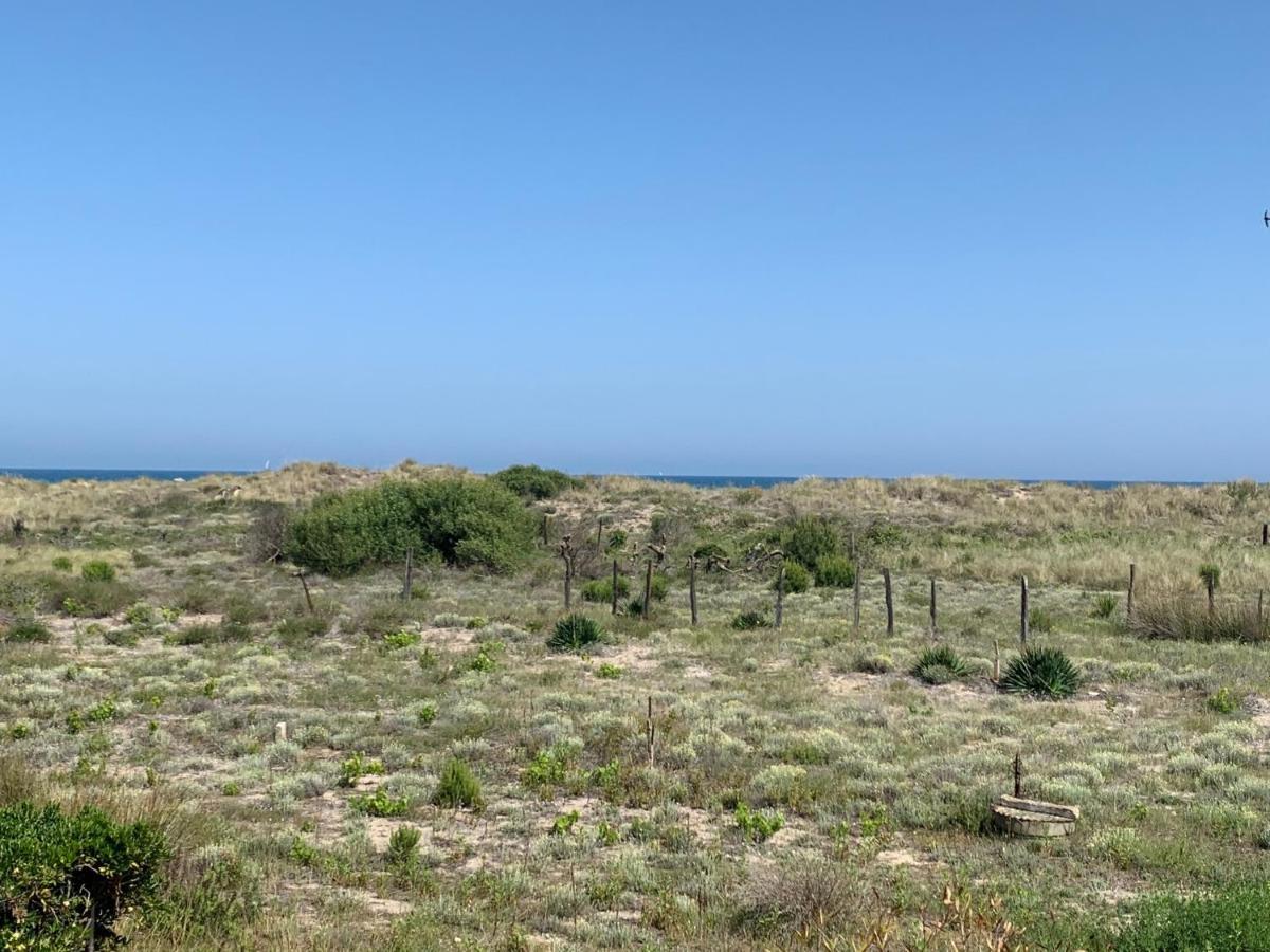Mon Petit Paradis, Vue Sur Dunes Et Mer, Acces Direct Plage Robinson, Terrasse, Parking Prive, Tres Ressourcant, A Marseillan Plage Exterior foto